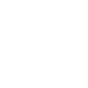 Money icon